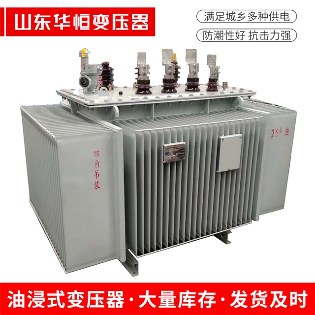 S13-10000/35渝水渝水渝水电力变压器厂家