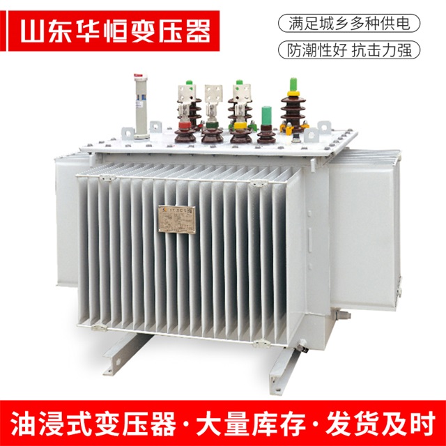 S13-10000/35渝水渝水渝水电力变压器